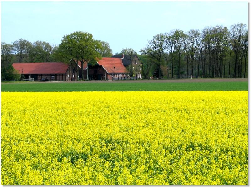 "Kohlenpott" - Frühjahr 2004