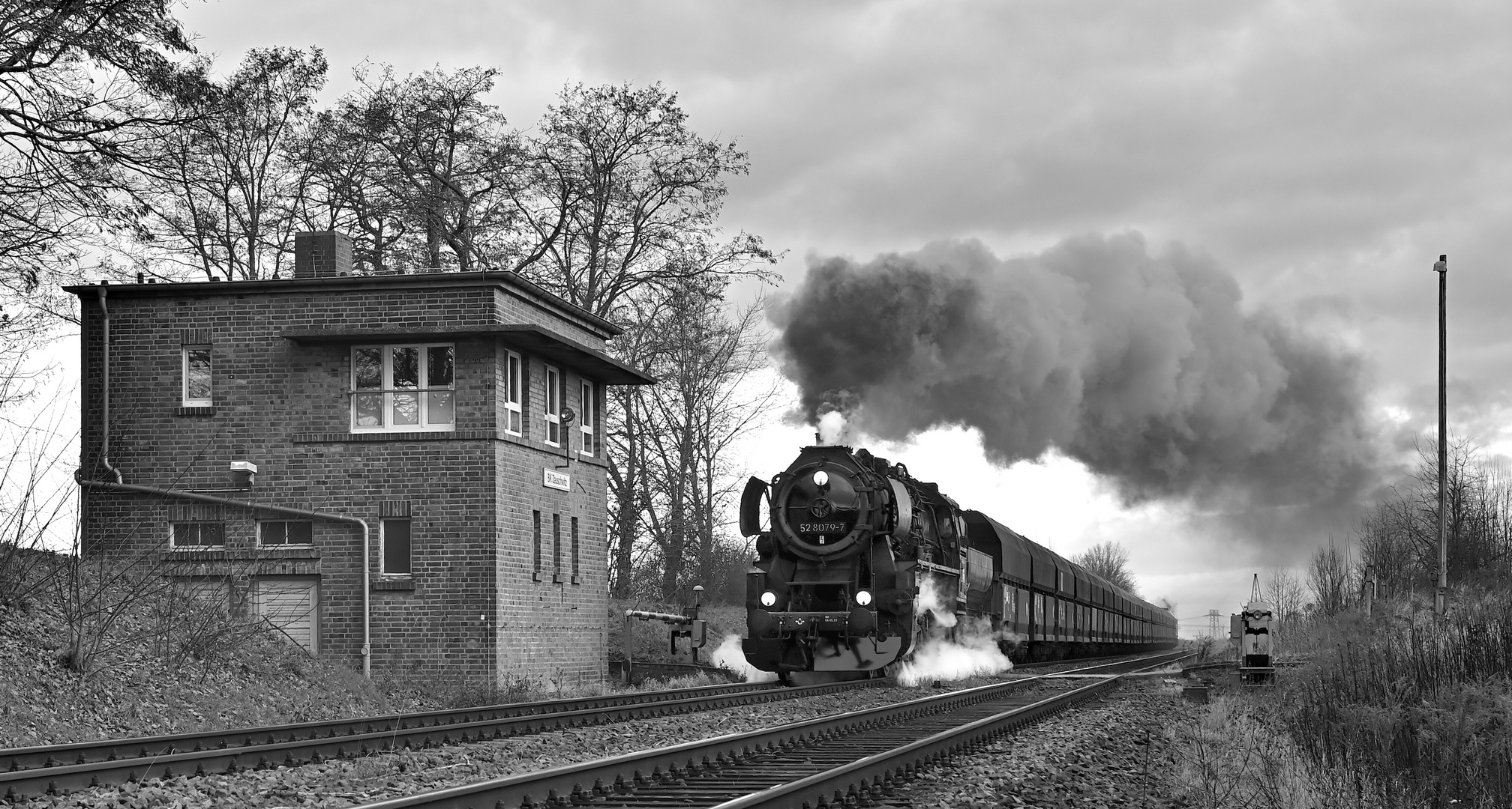 Kohlependel im Block Zaschwitz