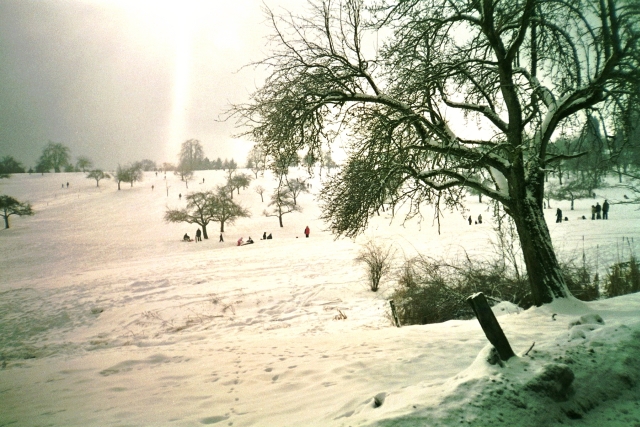 Kohlhof bei Heidelberg im Winter