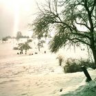 Kohlhof bei Heidelberg im Winter