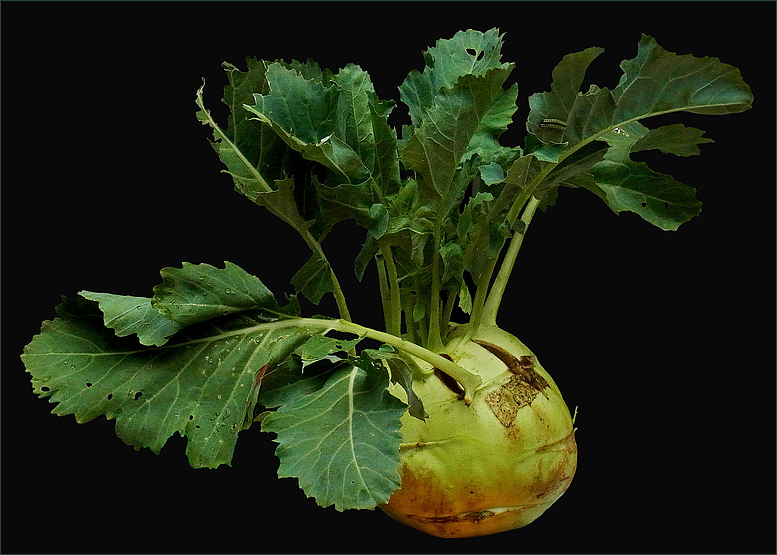 Kohlrabi ( chou rave)