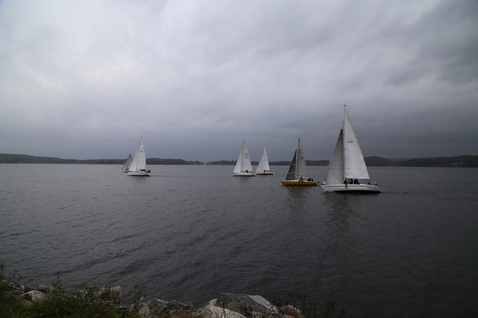 Kohlregatta in Arvika