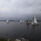 Kohlregatta in Arvika