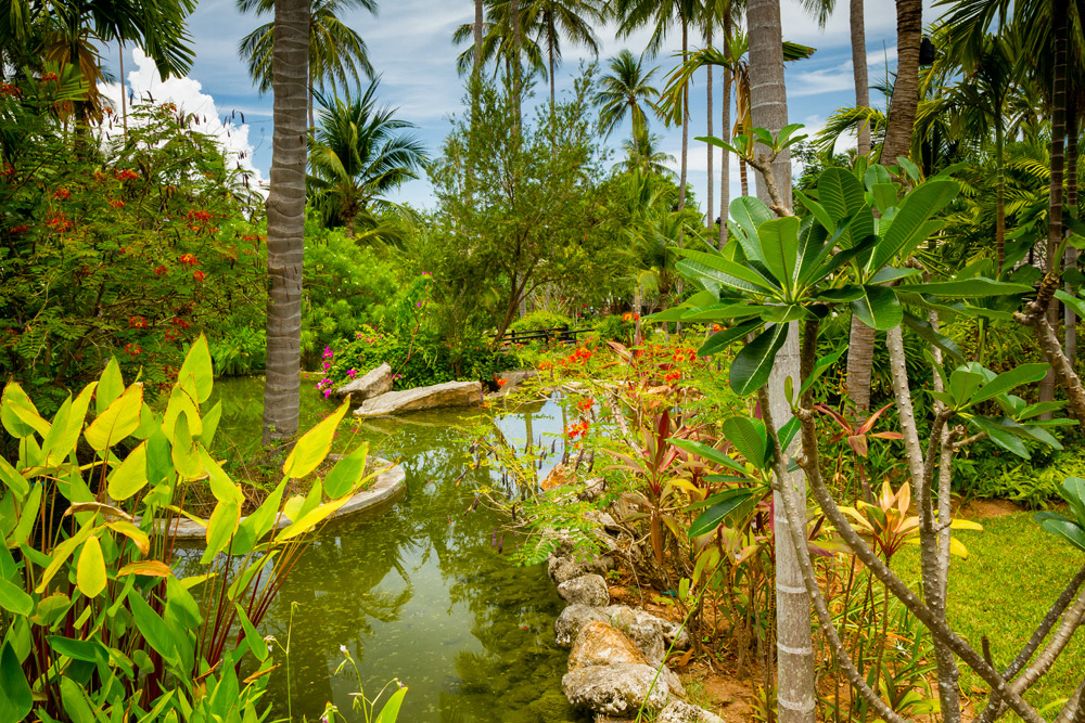 KohSamui14#010