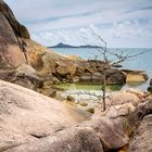 KohSamui14#094