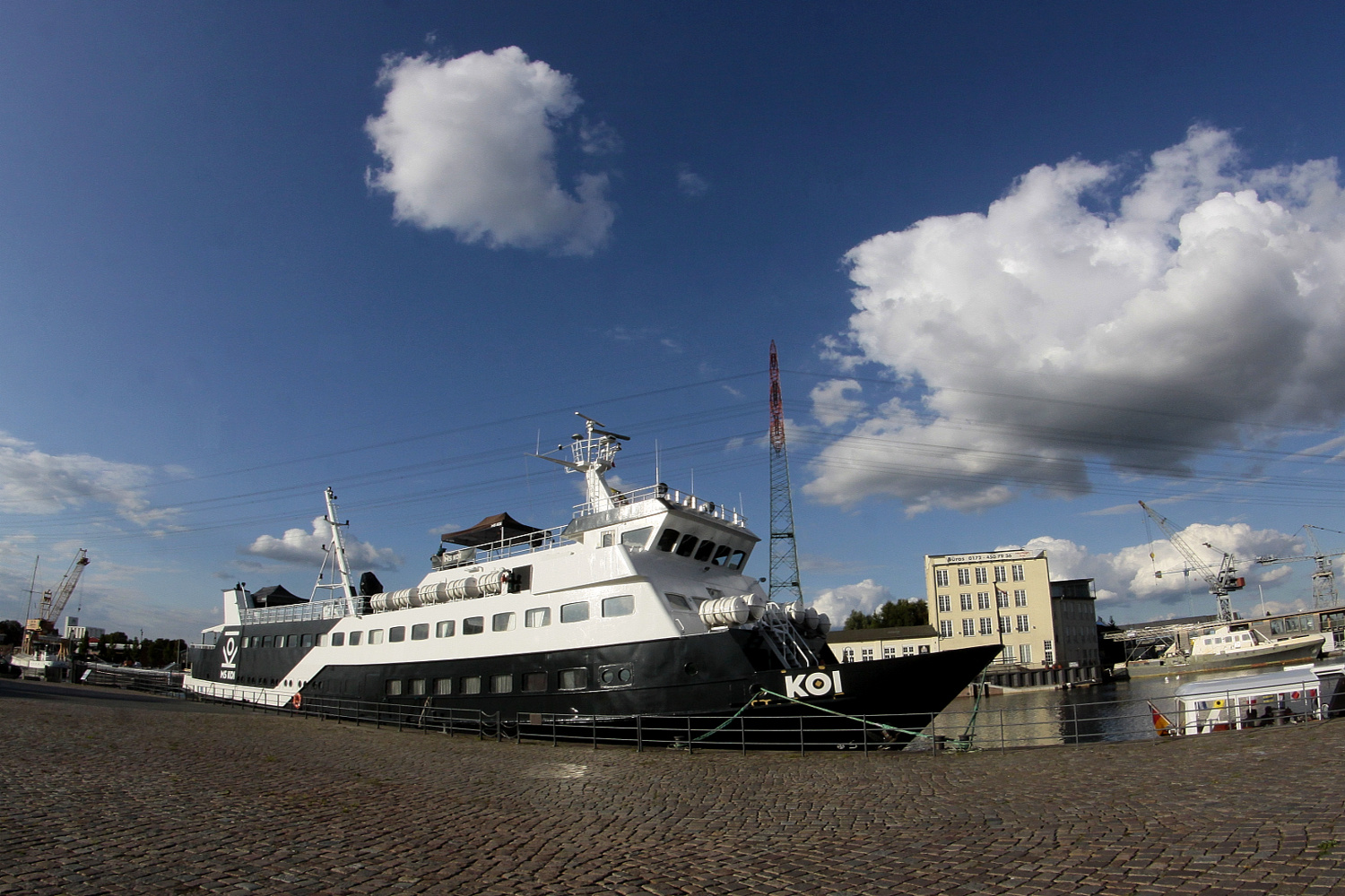 KOI im Harburger Binnenhafen