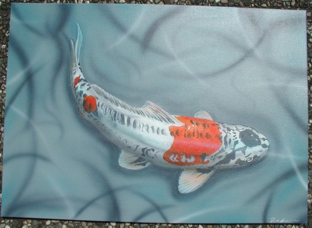 Koi nach Foto in Airbrush