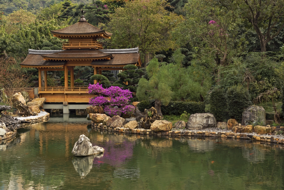 Koi Teich Foto & Bild china, world, teich Bilder auf