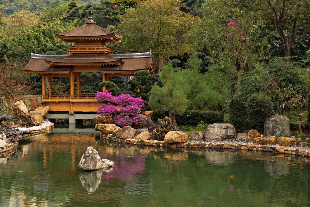 Koi Teich Foto & Bild china, world, teich Bilder auf