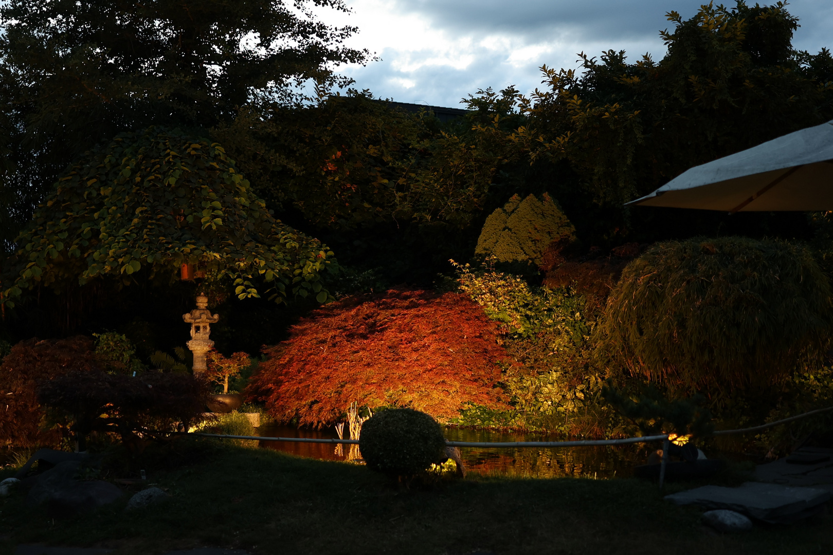 Koi-Teich im Hotelgarten