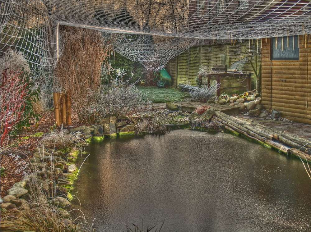 Koi Teich im Winter Foto & Bild bearbeitungs techniken, hdri & tm