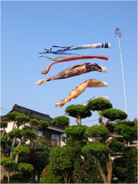 Koinobori