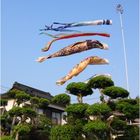 Koinobori