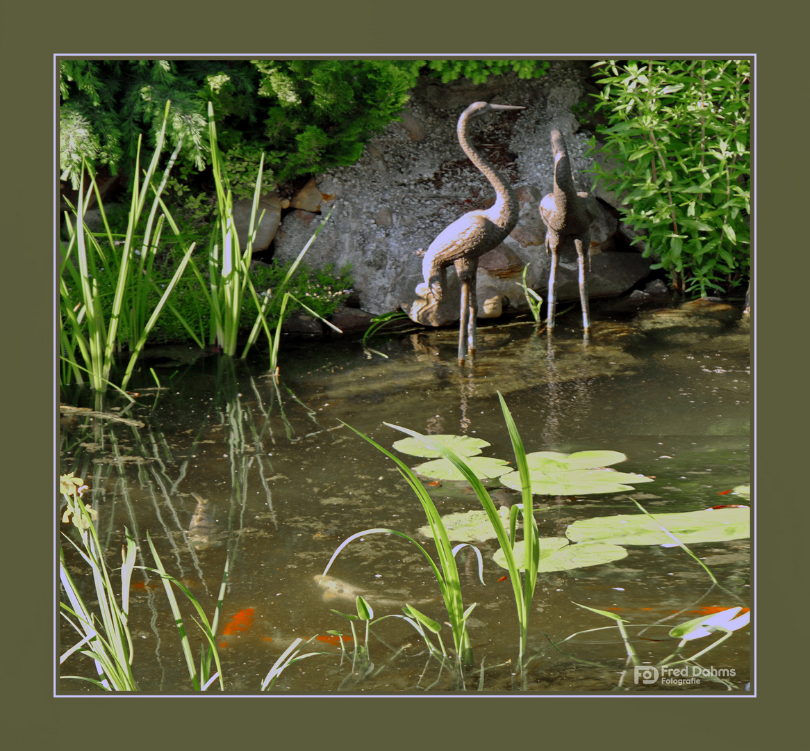 Koiteich Foto Bild Landschaft Garten Parklandschaften Natur Pur Bilder Auf Fotocommunity