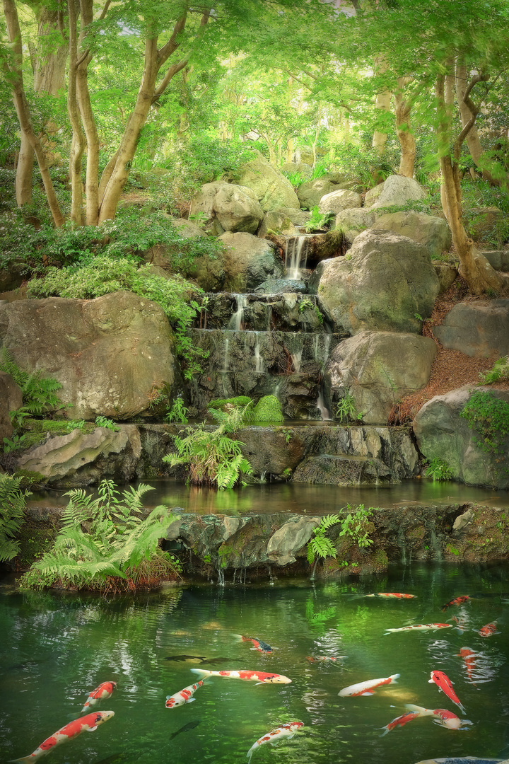 Koiteich In Katsuouji Foto Bild Asien Japan Tempel Bilder Auf Fotocommunity
