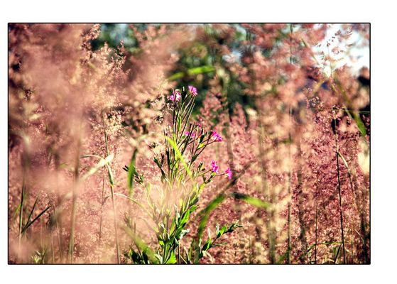 Kokain für die Augen