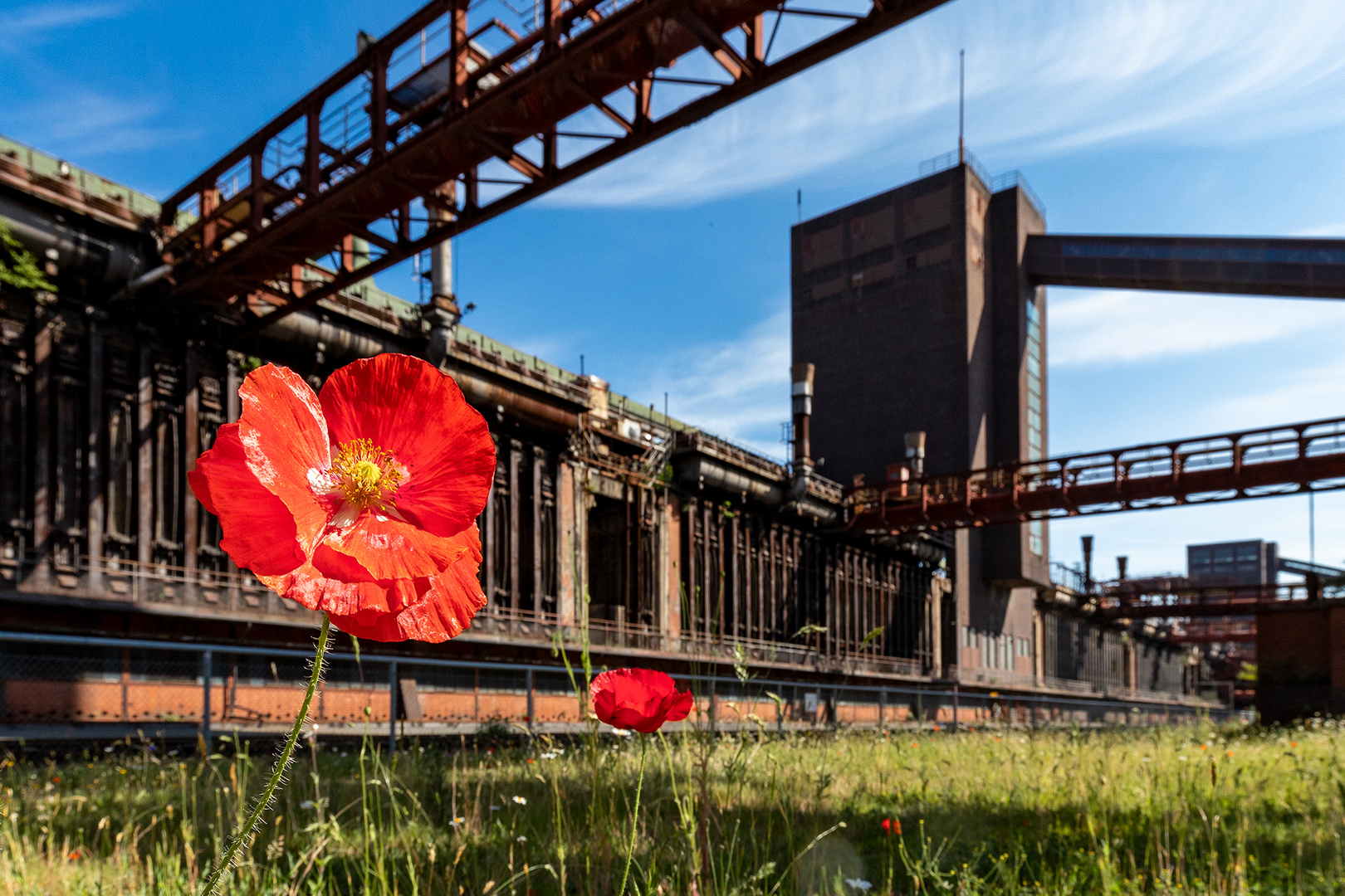 Kokerei Zollverein