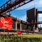 Kokerei Zollverein