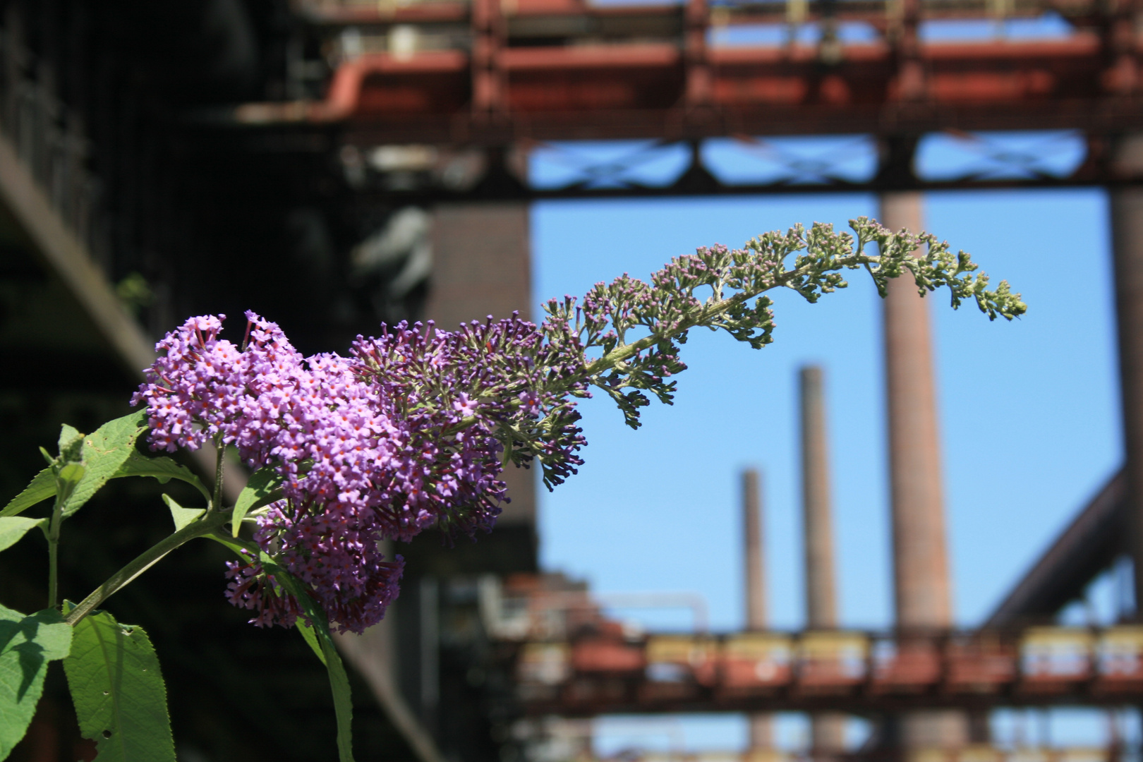 kokerei zollverein in essen