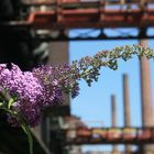 kokerei zollverein in essen