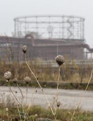 Kokerei Zollverein IV