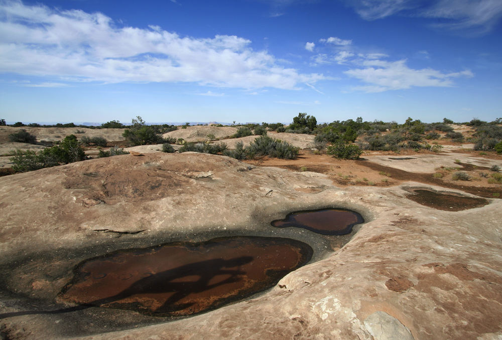 Kokopeli