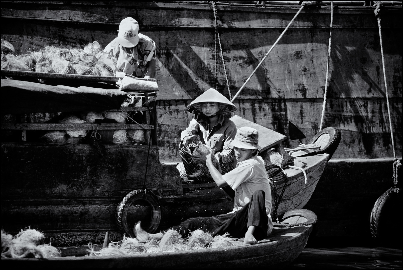 Kokosnüsse, Mekongdelta, Vietnam