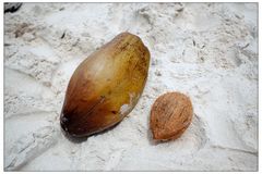 Kokosnuss vor und nach dem Schälen