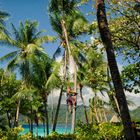 Kokosnußpflücker der Südsee Tahiti