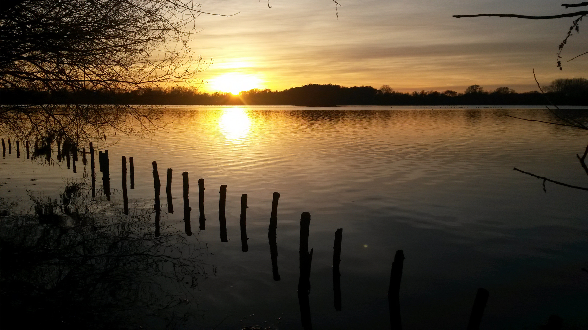 Koldinger Seen - südlich von Sarstedt, Niedesachsen, November 2014