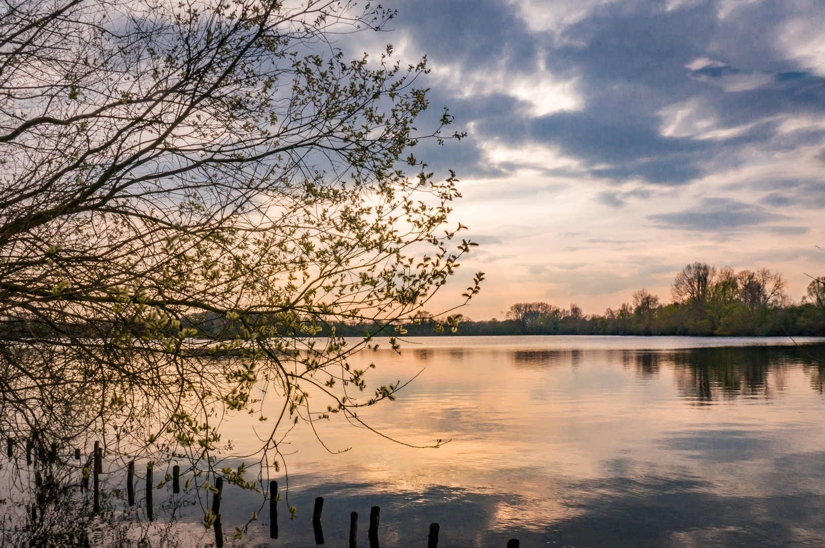 Koldinger Teich I  -  Hannover-Umland