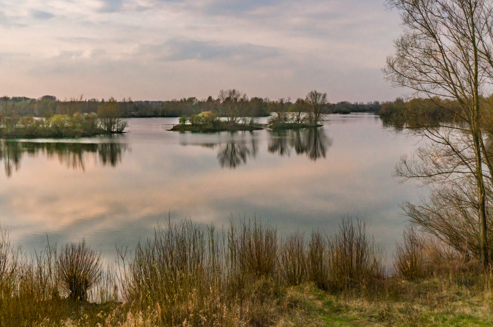 Koldinger Teich II  -  Hannover-Umland