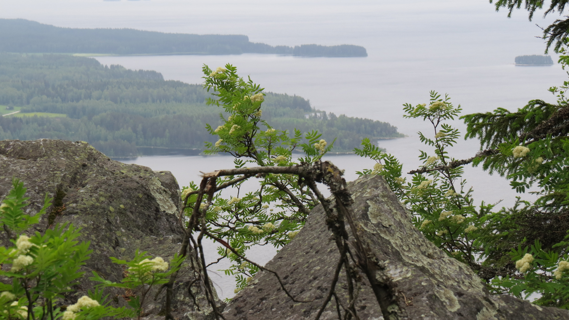 Koli Berge am frühen Morgen