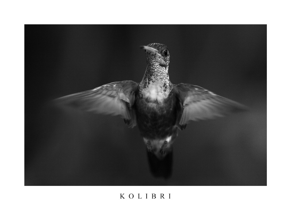 Kolibri II