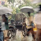 kolkata monsoon I