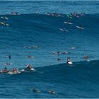 "Kollektives Warten" - Jaws, Maui, Hawaii