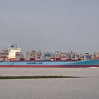 Kollmar Elbe Containerschiff