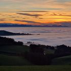 Kollmitzberg bei Ardagger im Nebelmeer im Herbst 2022