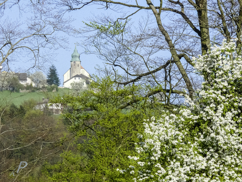 Kollmitzberg mit Birnbaumblüte