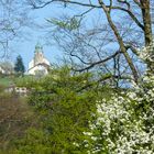 Kollmitzberg mit Birnbaumblüte