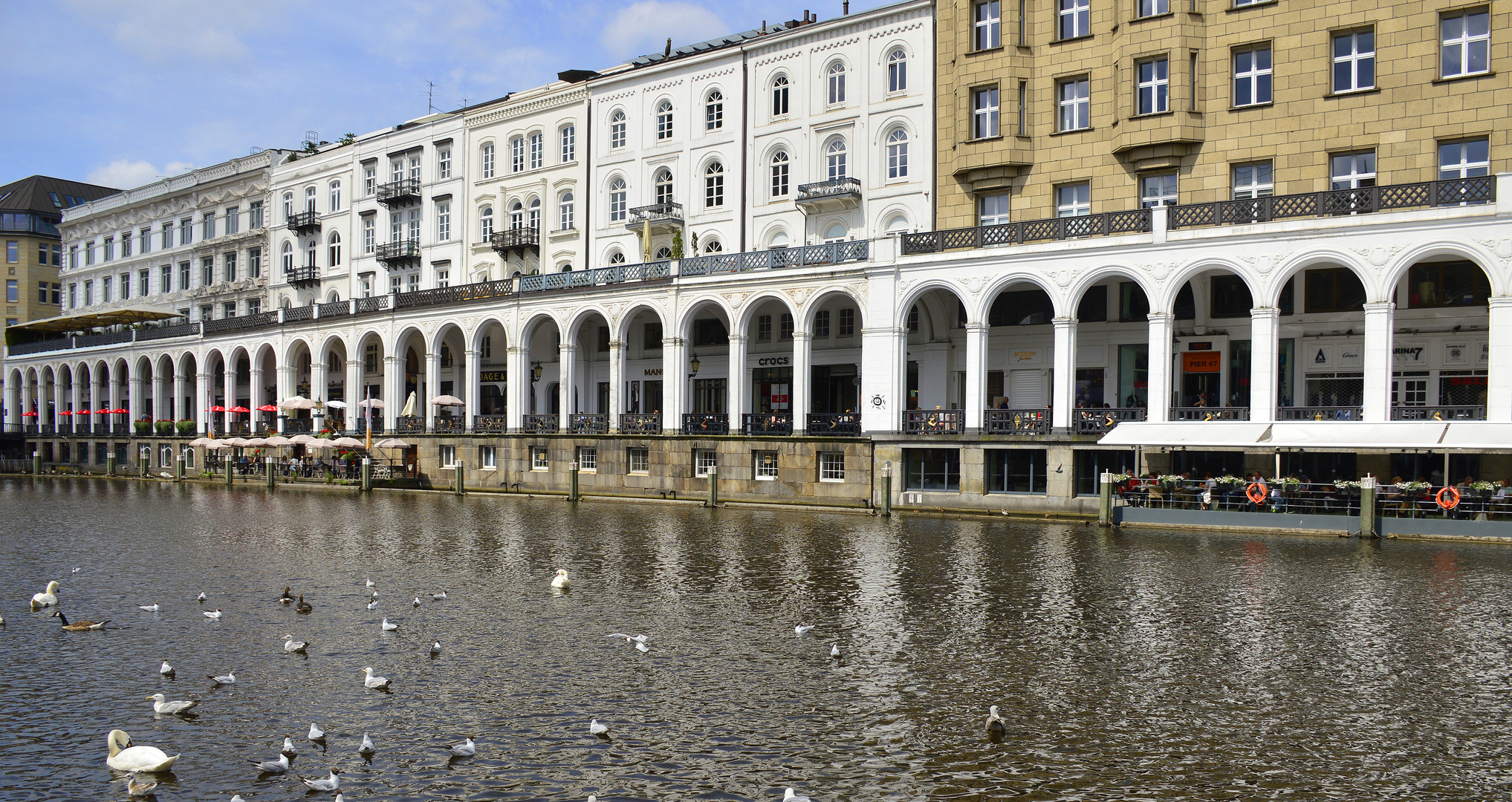 Kollonaden mit Schwänen in Hamburg