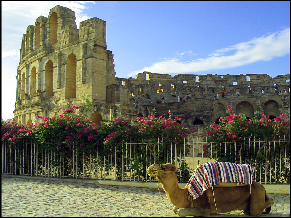 Kolloseum von El Jem (Tunesien)