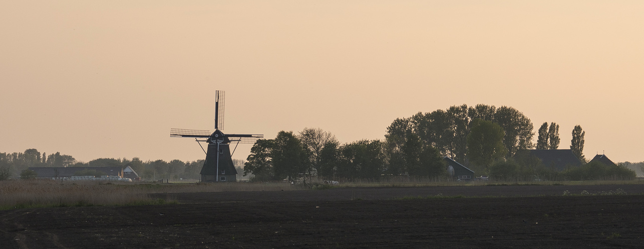 Kollum - Willem Loréweg - View on Kollum - 01