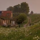 Kollumerpomp - Wester Nieuwkruisland