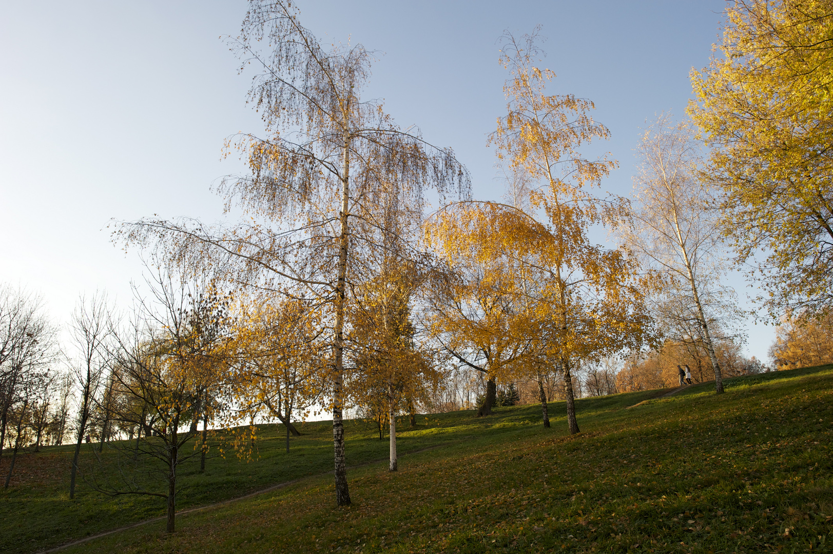 Kolomenskoye fall