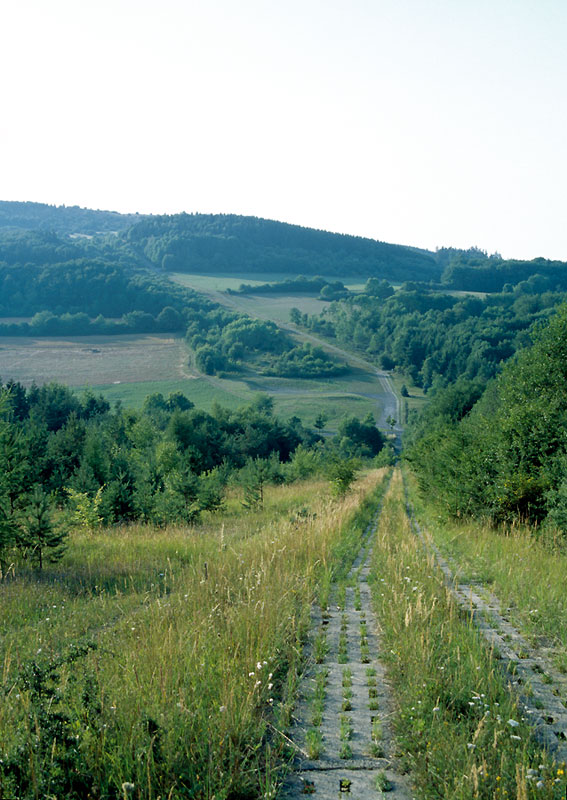 Kolonnenweg im Abendlicht