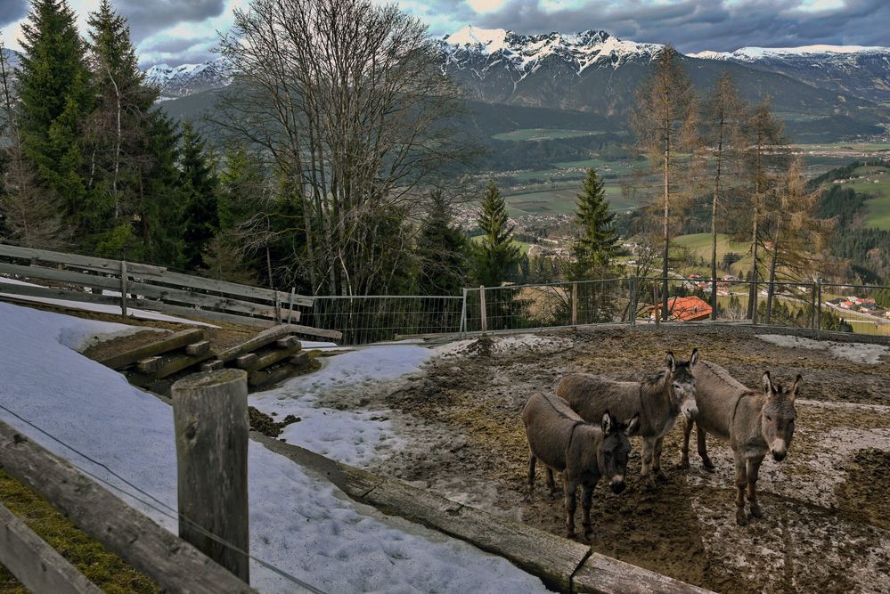 Kolsassberg, Tirol 