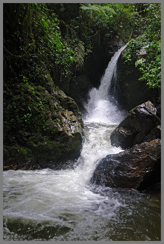 Kolumbien Naturreservat Acaime 1