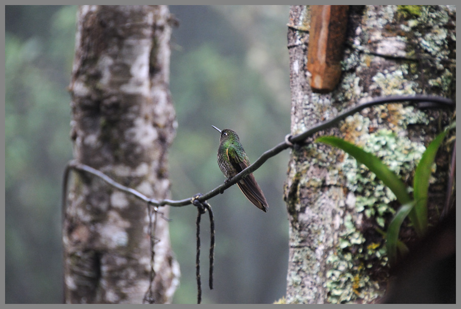 Kolumbien Naturreservat Acaime 2