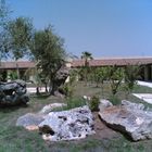 Kombination Olivenbaum und Felsbrocken